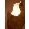 Lampara de Pita